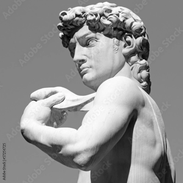 Fototapeta David by  Michelangelo - masterpiece of Renaissance sculpture