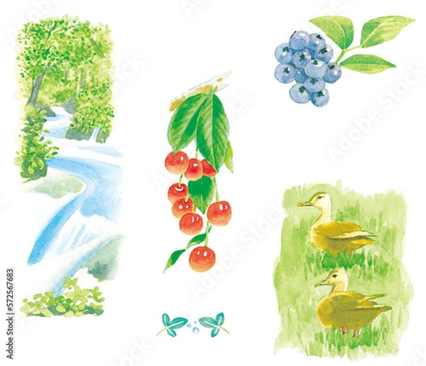 Obraz 6月イメージ