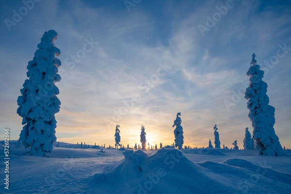 Obraz Snow and shadows