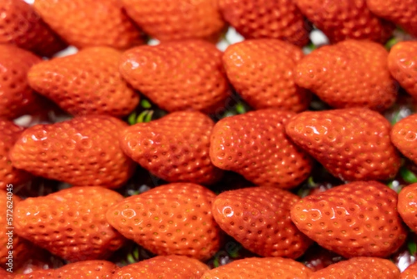 Obraz red ripe delicious red strawberries