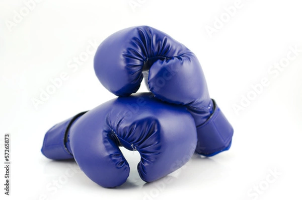 Fototapeta Resting gloves