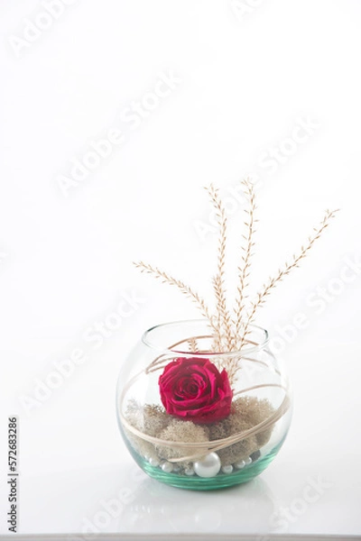 Obraz rose eternelle dans un bocal