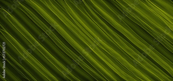 Fototapeta Green leaf like texture background illustration