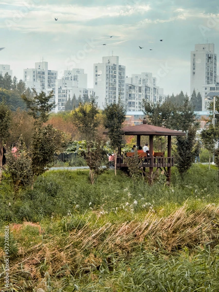 Obraz autumn landscape