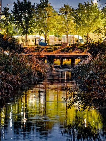 Fototapeta dawn river