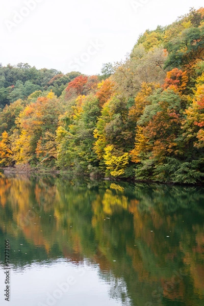 Obraz Jesień na drzewach