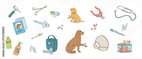 Fototapeta set of elements about veterinary caring a pet, medical tools and healthcare equipment, linear color vector illustration
