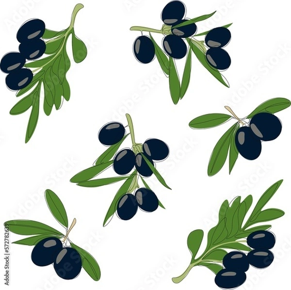 Fototapeta Black olives pattern. Vector image.