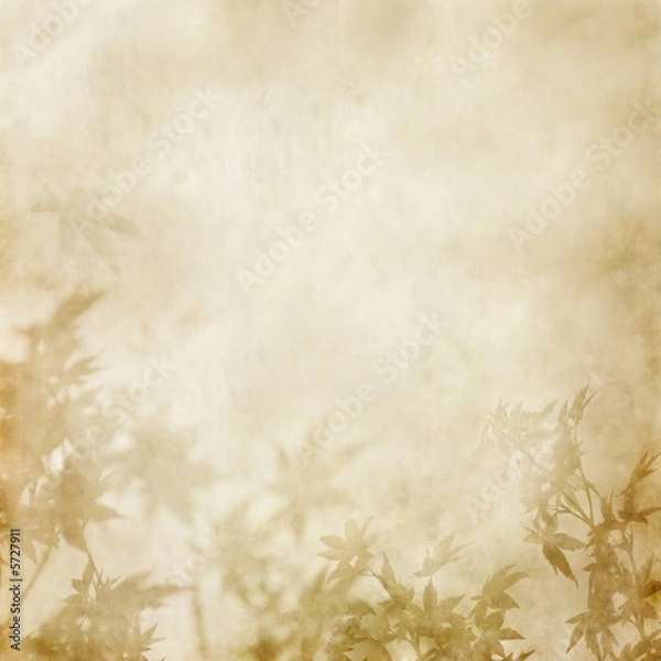 Fototapeta Aged Paper with faded leaves imprint