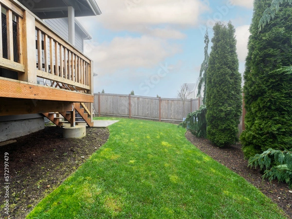 Fototapeta Backyard with grass