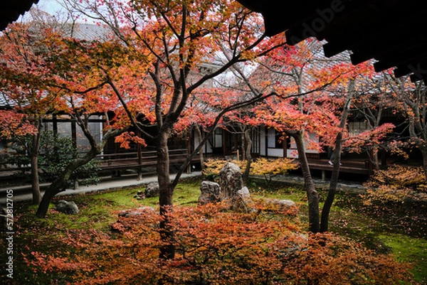 Fototapeta Lone person in an old structure with a garden in Japan