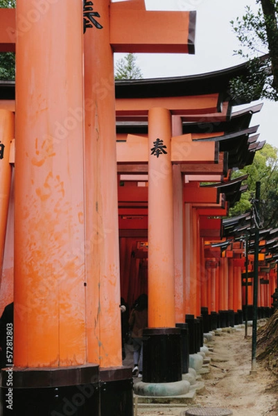 Fototapeta A shot of a path of torii gates at Fushimi Inari Shrine in Kyoto, Japan