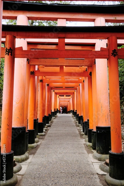 Fototapeta A shot of a path of torii gates at Fushimi Inari Shrine in Kyoto, Japan