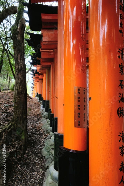 Fototapeta A shot of a path of torii gates at Fushimi Inari Shrine in Kyoto, Japan