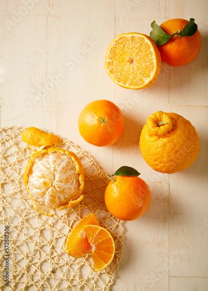 Obraz 오렌지, 귤, 한라봉 등 시트러스 계열의 맛있는 과일 세팅