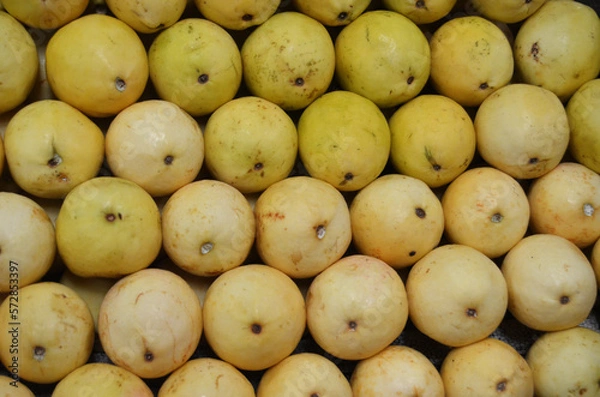 Obraz guayabas, guava