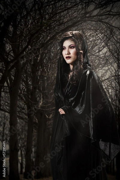 Obraz Vampire - Stock Image