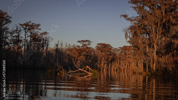 Obraz sunset over the lake
