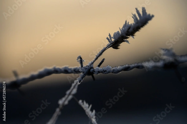 Obraz Stacheldraht mit Raureif