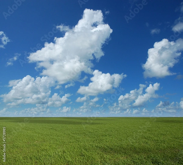 Obraz Perfect Horizon