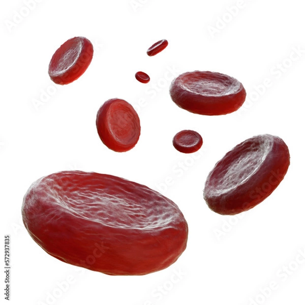 Obraz 3d rendering red blood cells perspective view