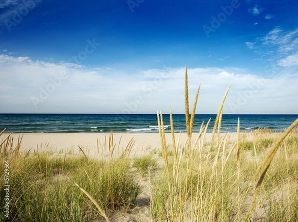 Obraz path to beach with dune grass