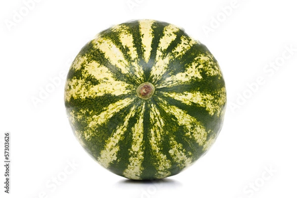 Fototapeta Watermelon's bottom