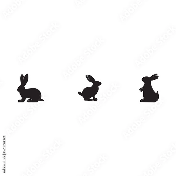 Obraz Rabbits Set, Isolated On White Background