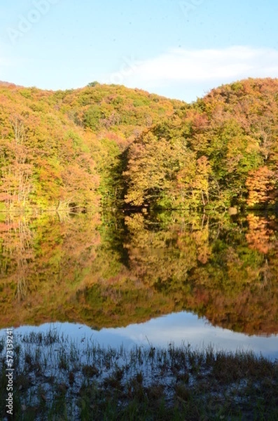 Fototapeta 紅葉期の曲沢沼のリフレクション