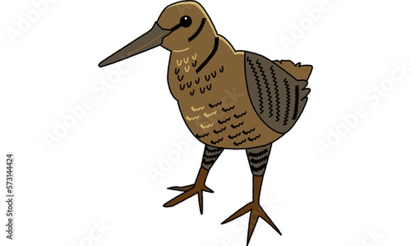Obraz 世界自然遺産の島の生き物のアマミヤマシギ　ポップ調