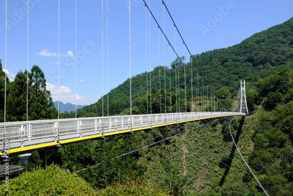 Obraz 上野スカイブリッジの風景