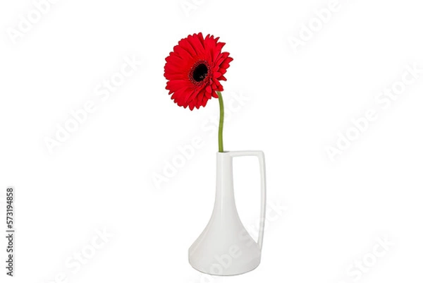 Fototapeta Red gerbera flower in a smal glass vase. White background. Copy space.