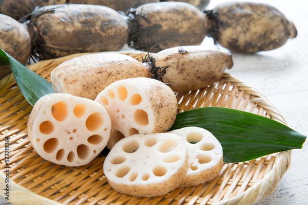 Obraz 蓮根、佐賀産泥付き蓮根