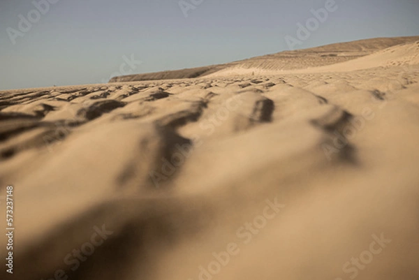 Obraz footprints in sand fuerteventura