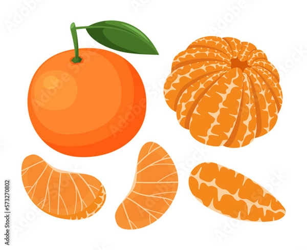 Obraz Fruit mandarin isolated on white background