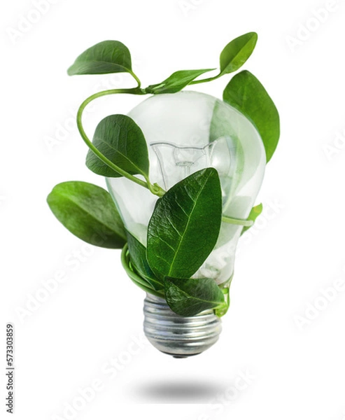 Obraz bulb with green leaf isolated