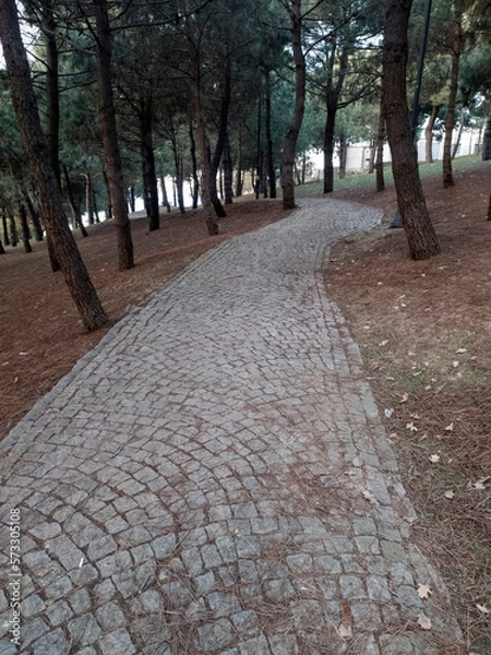 Obraz CobbleStone road for Creative Ideas