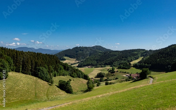 Obraz Dolina w Schwarzwaldzie