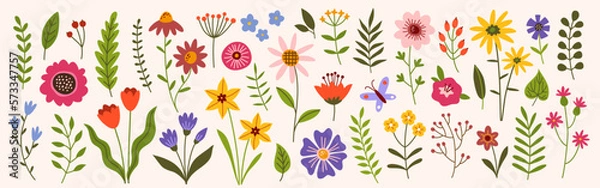 Fototapeta Flower collection, floral design elements vector set.