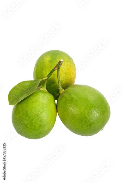 Obraz Lime on white background.