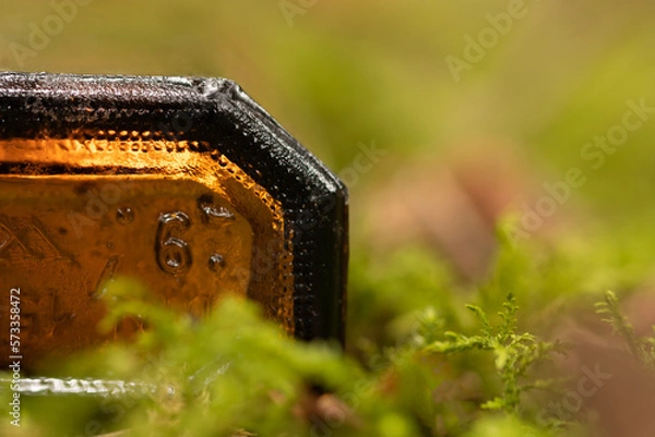 Obraz Butelka w lesie