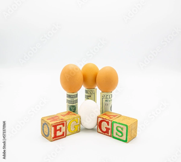 Obraz Eggs, money and eggs