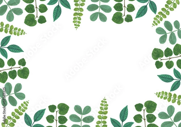 Obraz 青葉のフレーム背景素材