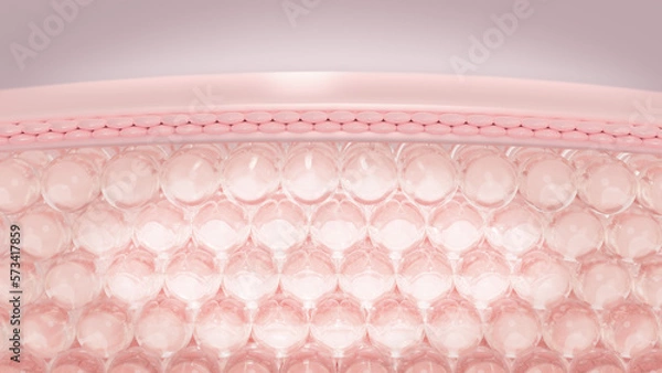 Fototapeta 3D rendering layers of the skin's microstructure. the conception of cosmetics.