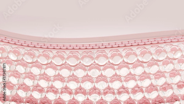 Fototapeta 3D rendering Microstructural layers of the skin. the concept for cosmetics.