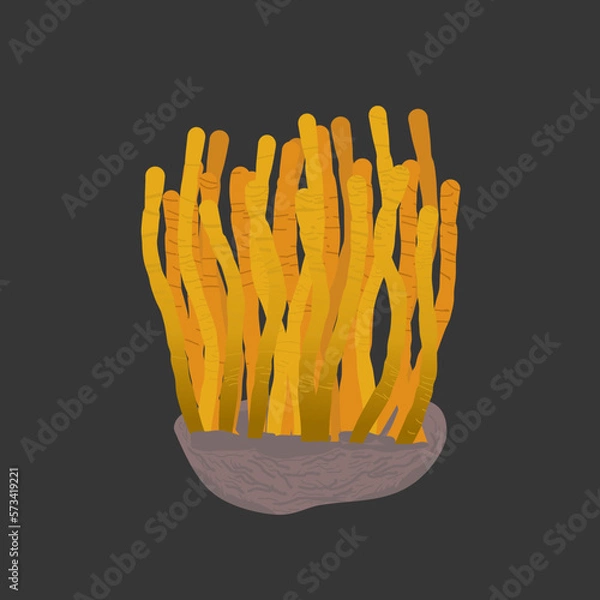 Fototapeta fictional species of fungus that has mutated and become capable of infecting humans and other animals, turning them into aggressive, zombie-like creatures.