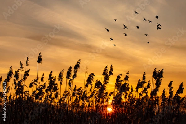 Fototapeta Zachód słońca 