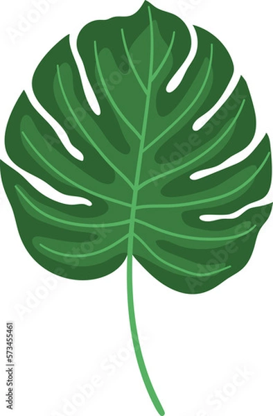 Fototapeta Tropical leaf vector