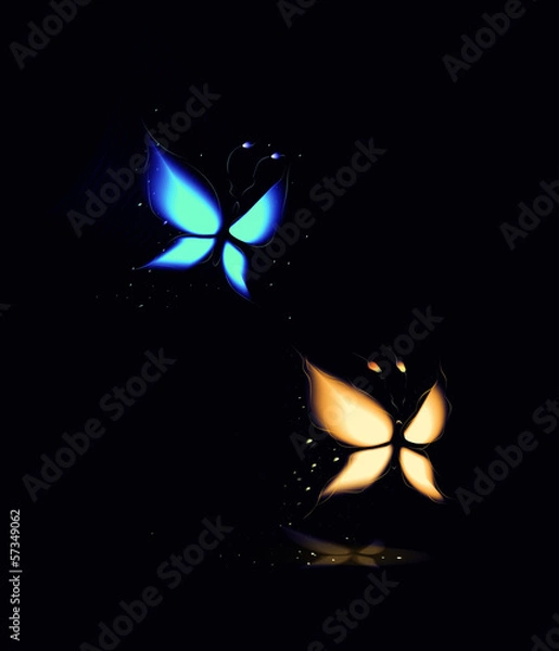 Obraz Бабочки