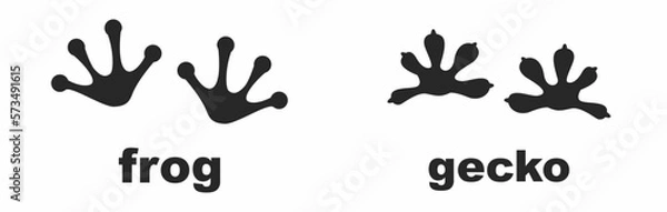 Fototapeta frog and gecko footprints isolated on white baground. vector